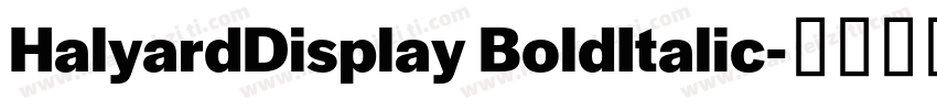 HalyardDisplay BoldItalic字体转换